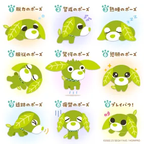 リョクのいろんなポーズ🐶