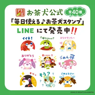 お茶犬LINEスタンプ 新作登場！