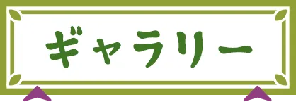 ギャラリー