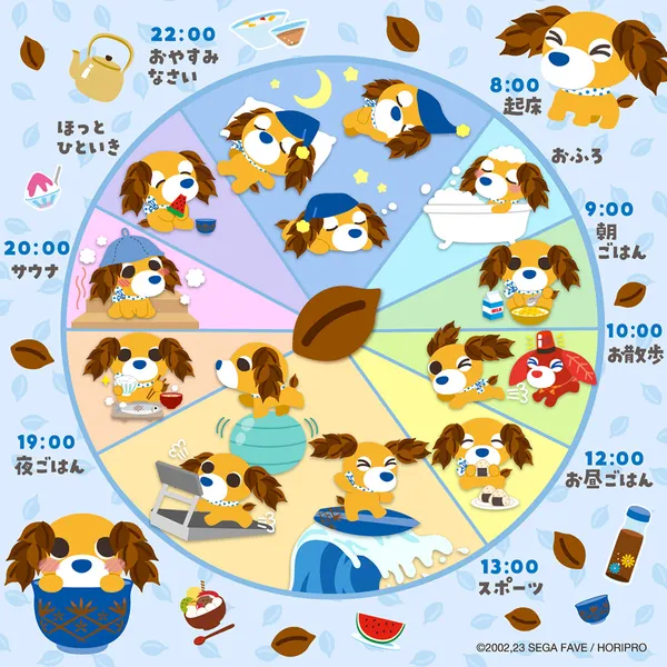 ムハのスケジュール