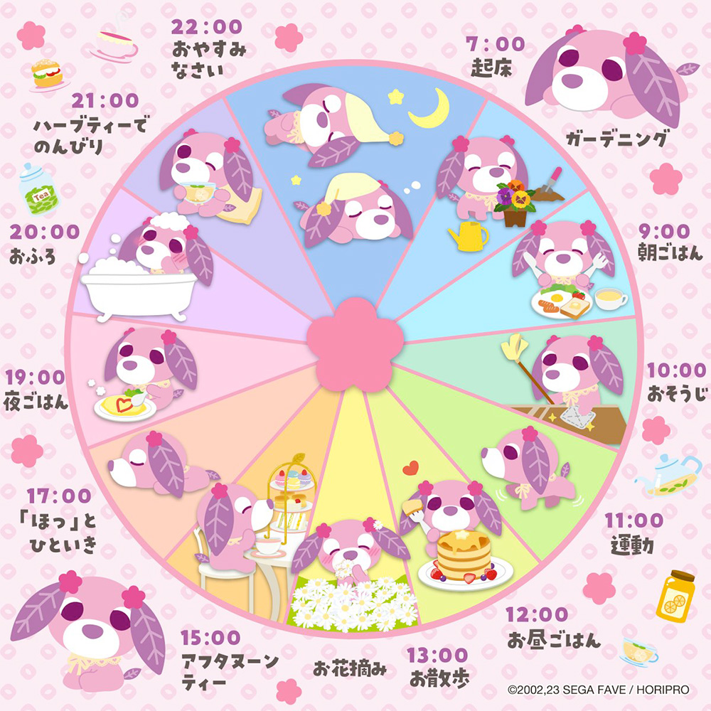 ハナのスケジュール