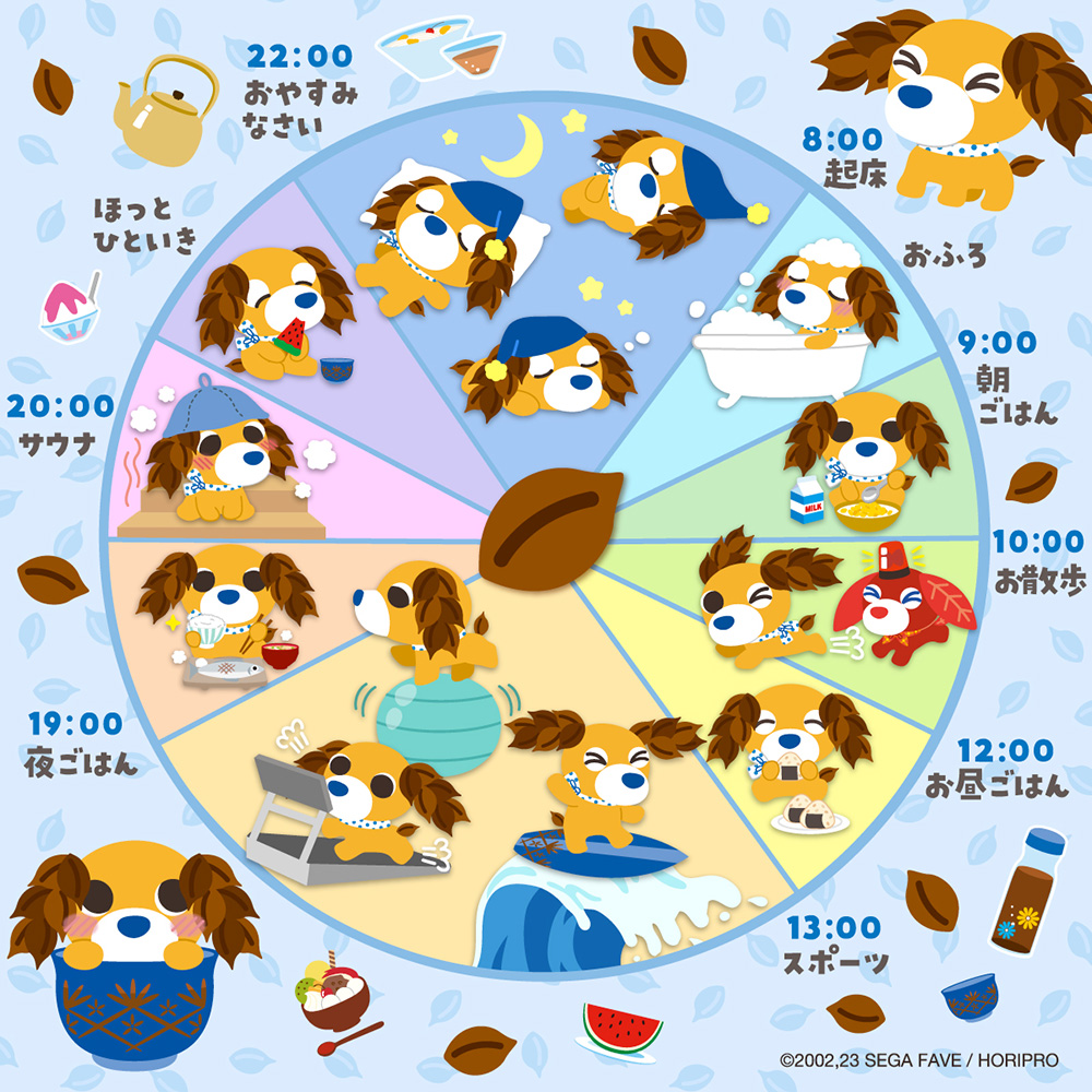 ムハのスケジュール